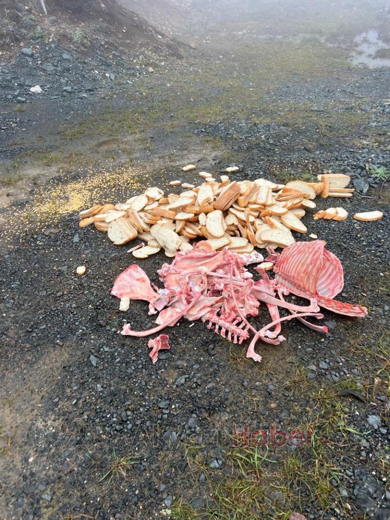 İş Adamı Ömer Peker Yaban hayvanlarını unutmadı