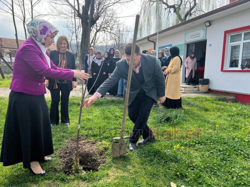 Kaymakam Kılıç, şehit kadınlar anısına kiraz ağacı fidanı dikti