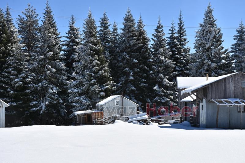 yüksek kesimlerde kış şehir merkezinde bahar yaşanıyor