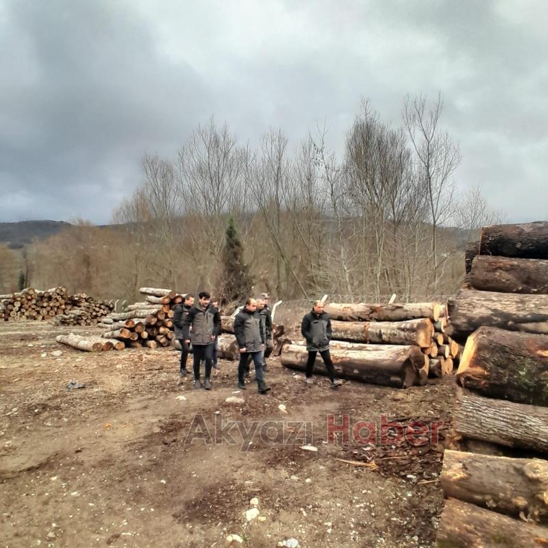 Orman Bölge Müdürü'nden Akyazı'da inceleme