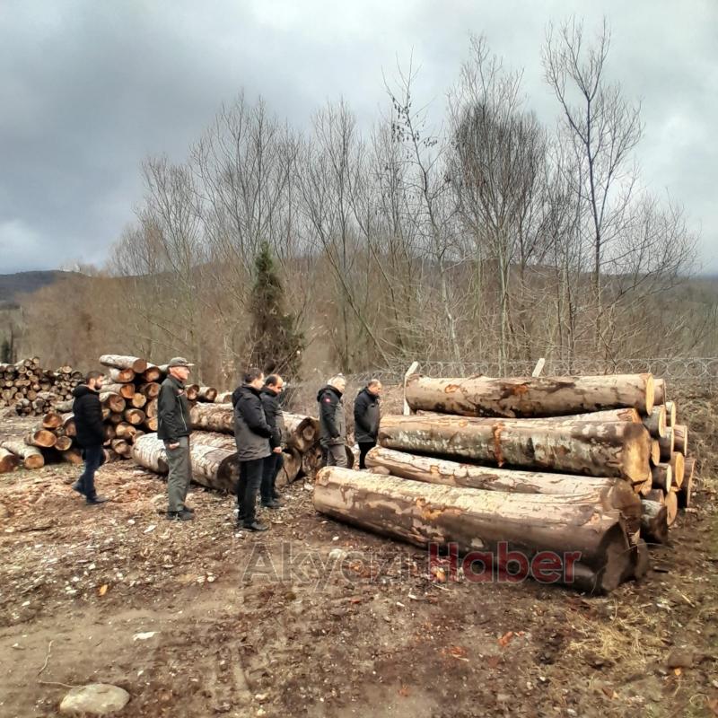 Orman Bölge Müdürü'nden Akyazı'da inceleme