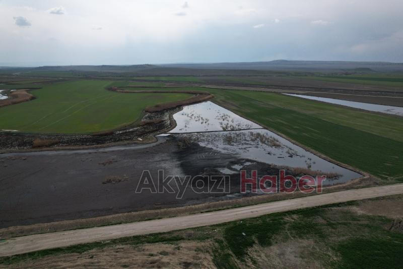 Firmaların atıkları Sakarya Nehri'ne karışıyor