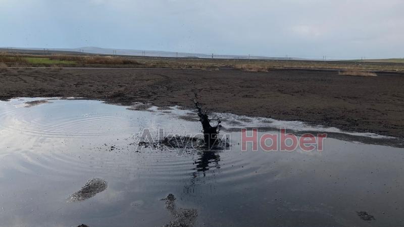 Firmaların atıkları Sakarya Nehri'ne karışıyor