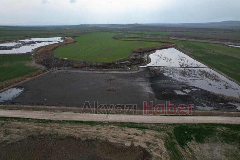 Firmaların atıkları Sakarya Nehri'ne karışıyor
