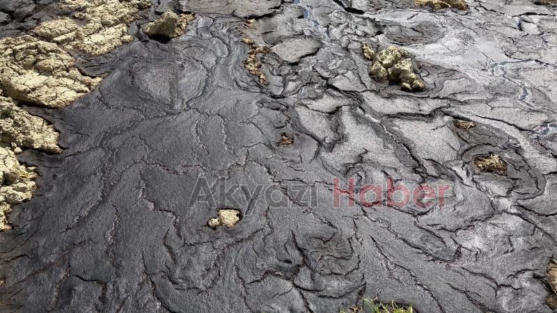 Firmaların atıkları Sakarya Nehri'ne karışıyor