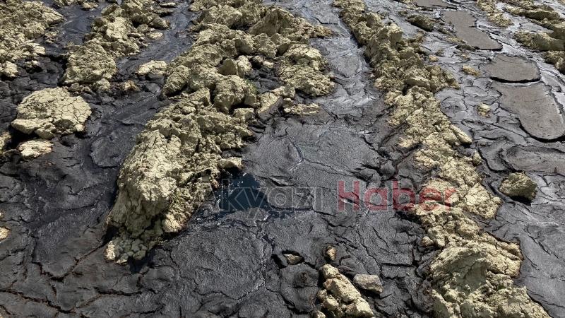 Firmaların atıkları Sakarya Nehri'ne karışıyor