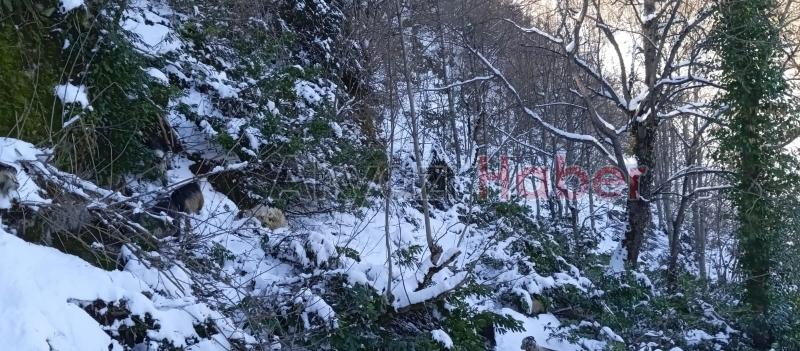 Sakarya’da iki mevsim aynı gün yaşanıyor