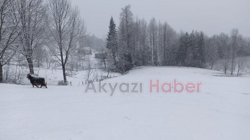 Sakarya'nın yükseklerine kar yağıyor