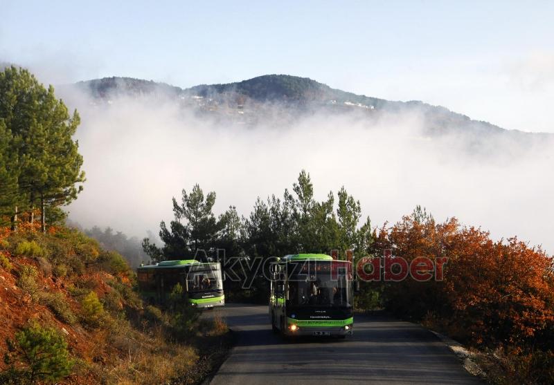 Büyükşehir açıkladı: Arefe günü mezarlıklara ulaşım ücretsiz