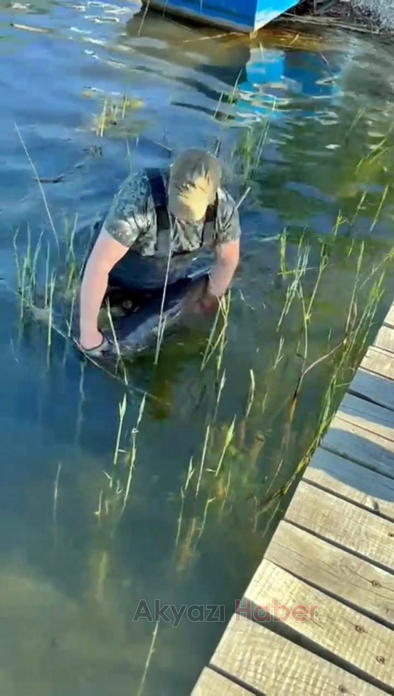 Sapanca Gölü'nde dev yayın yakaladı
