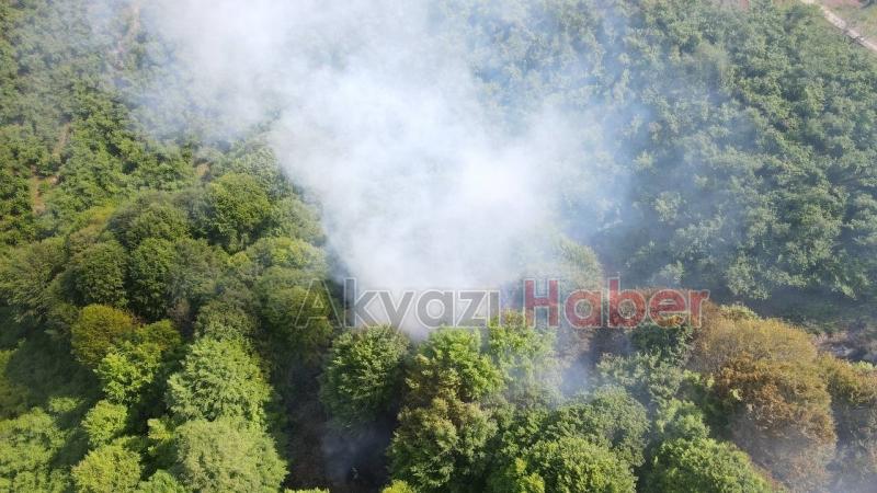 Temizlik için yakılan ateş ormana sıçradı