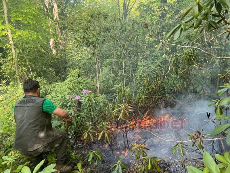 Temizlik için yakılan ateş ormana sıçradı