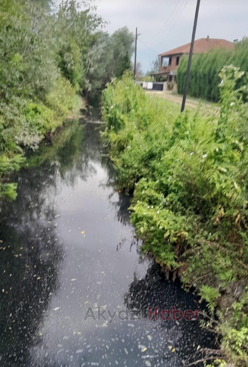 Akyazı'da vatandaşın 40 yıllık koku sorunu isyanı