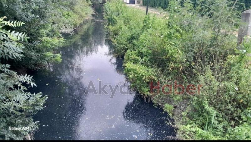 Akyazı'da vatandaşın 40 yıllık koku sorunu isyanı