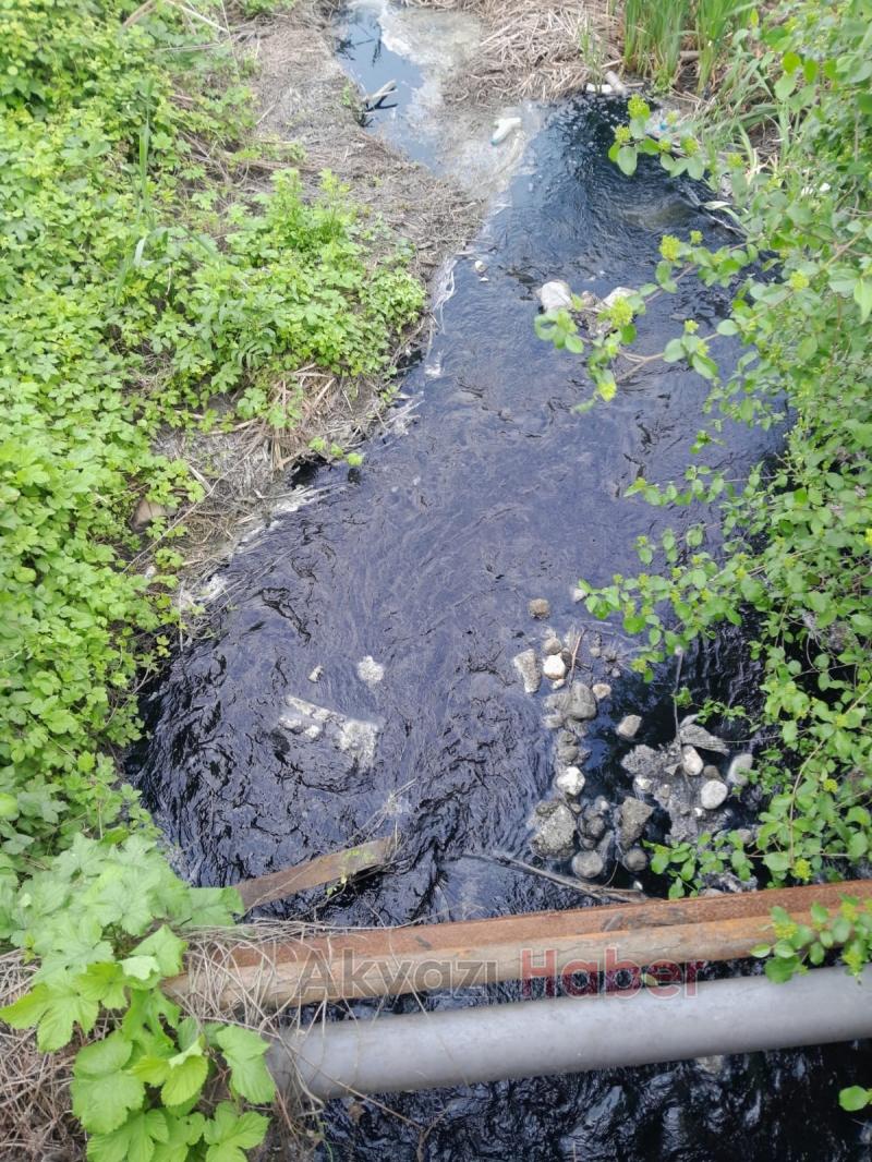 Akyazı'da vatandaşın 40 yıllık koku sorunu isyanı