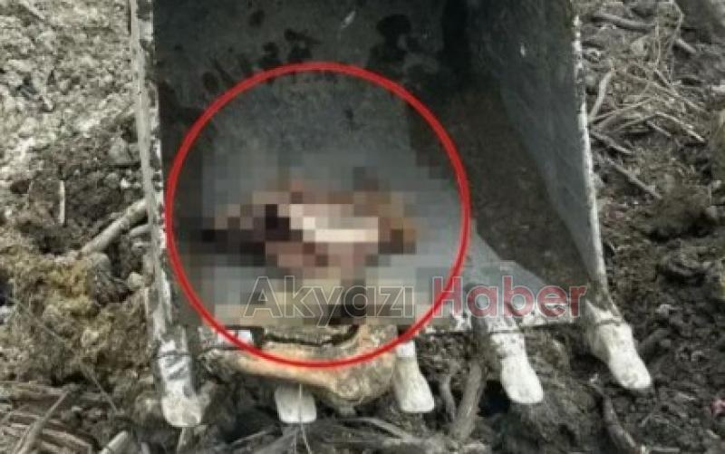 Arifiye'de çok sayıda at kafası bulundu