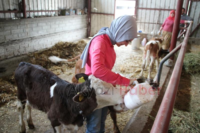 Dolmuş şoförü Havva'nın hayali tır ve otobüs şoförü olmak