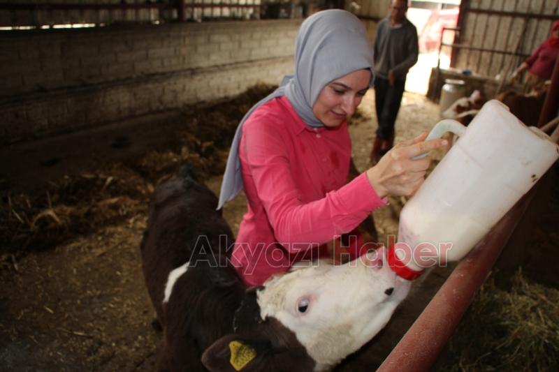 Dolmuş şoförü Havva'nın hayali tır ve otobüs şoförü olmak