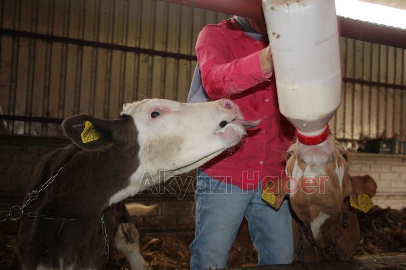 Dolmuş şoförü Havva'nın hayali tır ve otobüs şoförü olmak