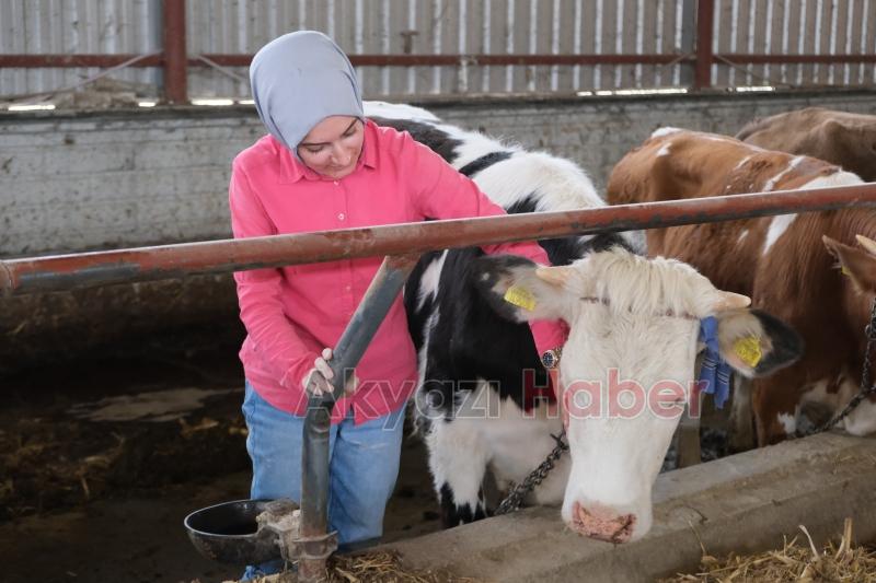 Dolmuş şoförü Havva'nın hayali tır ve otobüs şoförü olmak