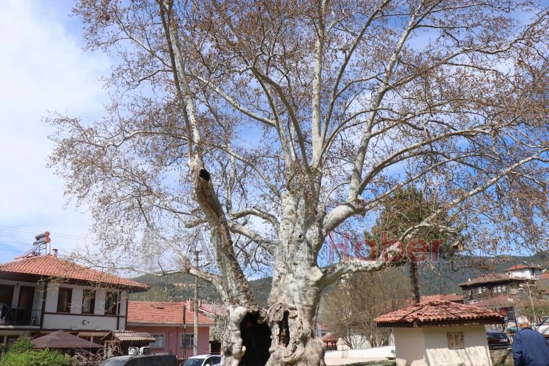 Osmanlının izi, 700 yıldır zamana karşı direniyor