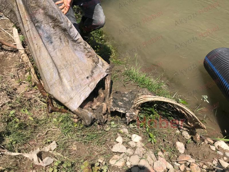 Akyazı'da etleri sıyrılmış at kemikleri bulundu