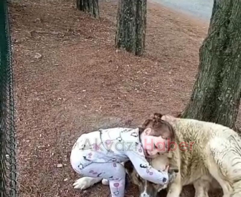 Parkta sokak köpeği dehşeti; Küçük kızı ısırdı