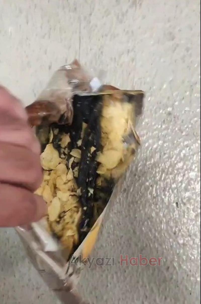 Meşaleleri bisküvi ve cips paketleri içine gizlemişler