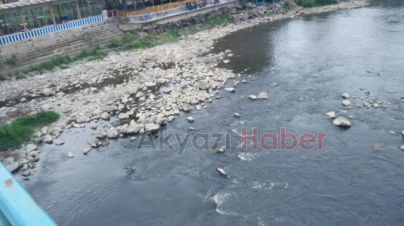 Sakarya Nehri'nde korkutan görüntü