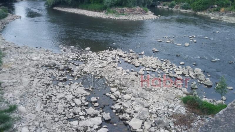 Sakarya Nehri'nde korkutan görüntü