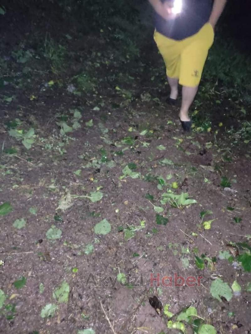 Dolu yağışı Ferizli ve Karasu'da fındığı vurdu