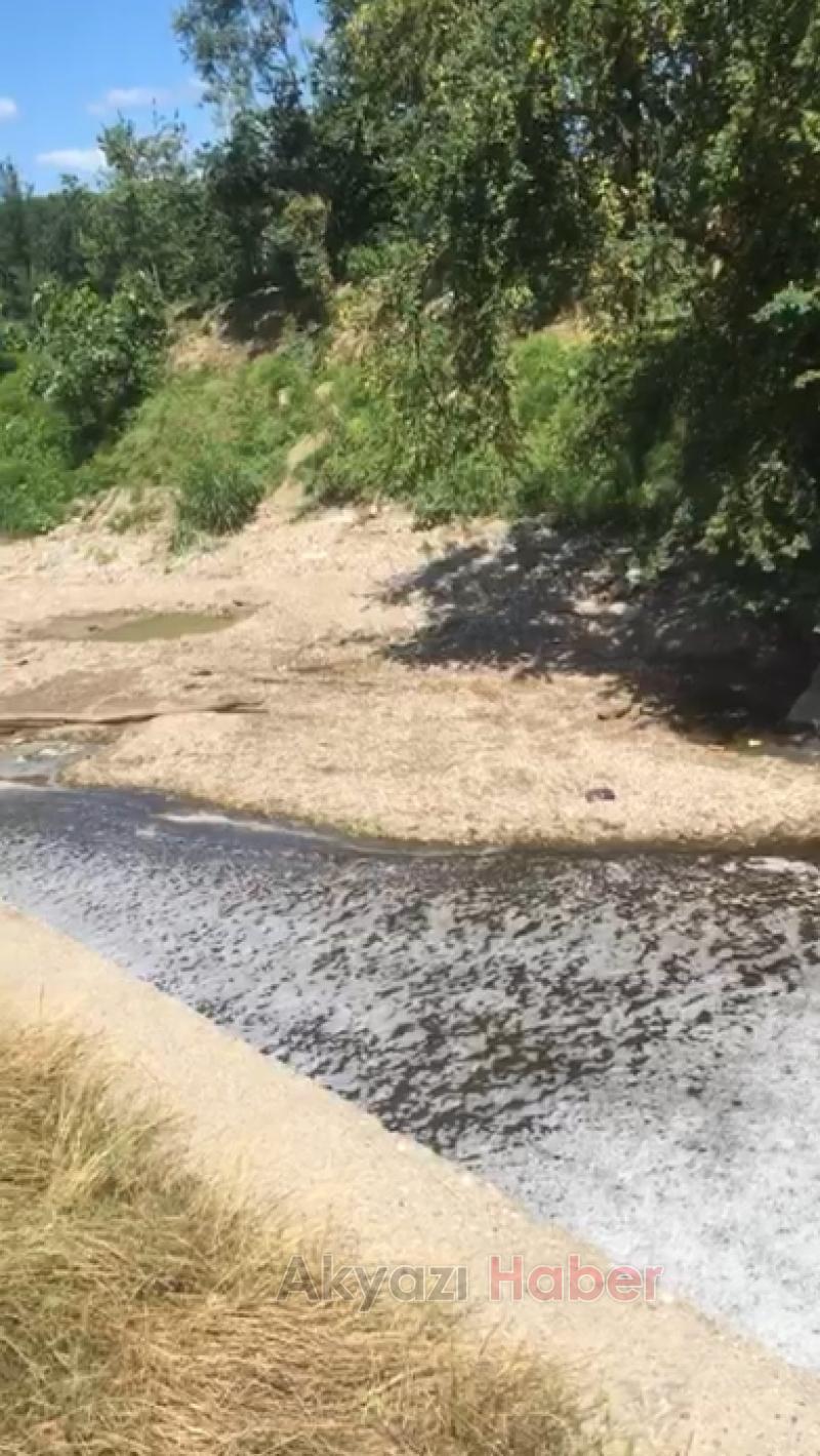 Yağcılar Deresi'nde korkutan gelişme