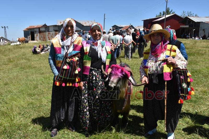 117 yıllık yayla göü