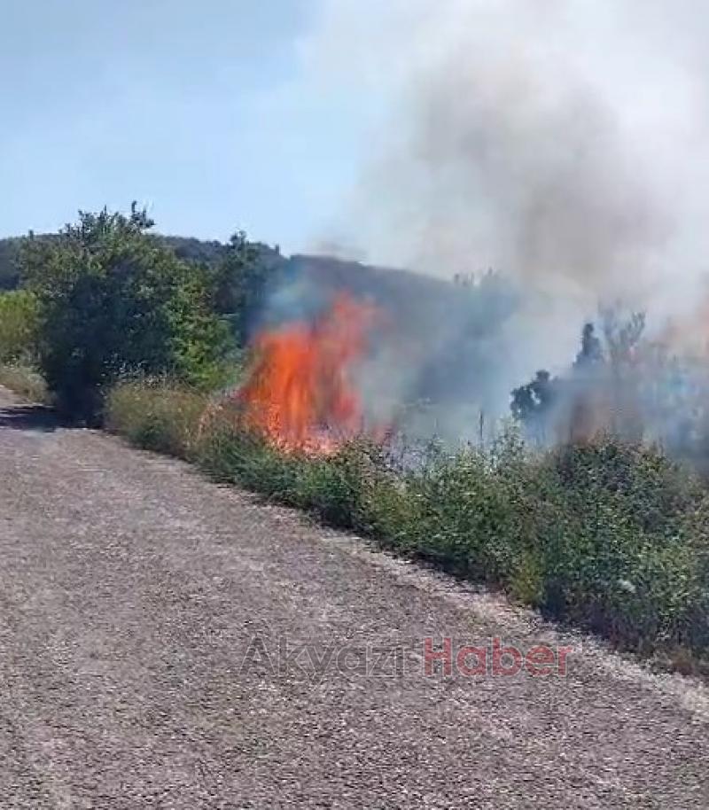 Pamukova'da orman yangını