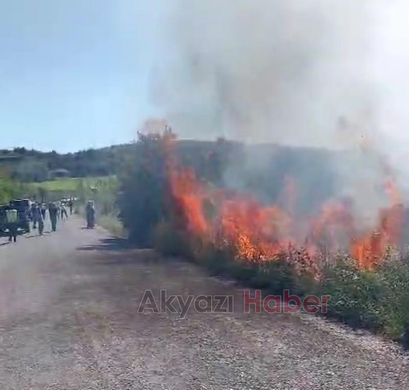 Pamukova'da orman yangını