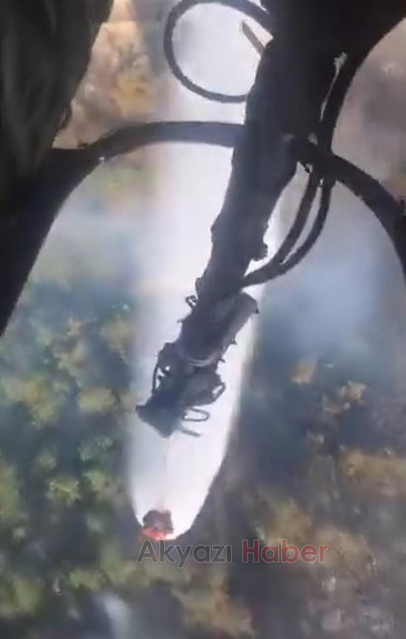 Pamukova'da orman yangını