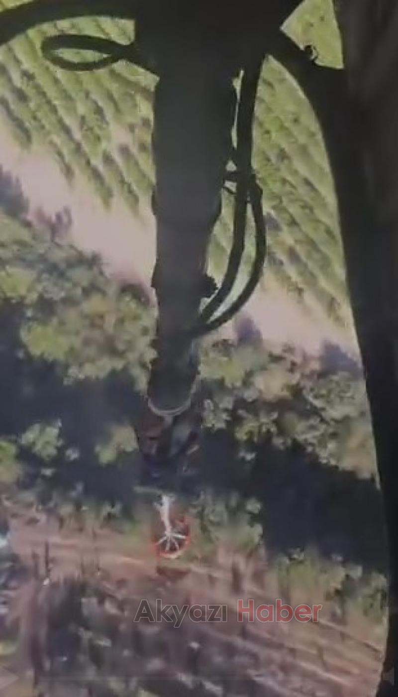 Pamukova'da orman yangını