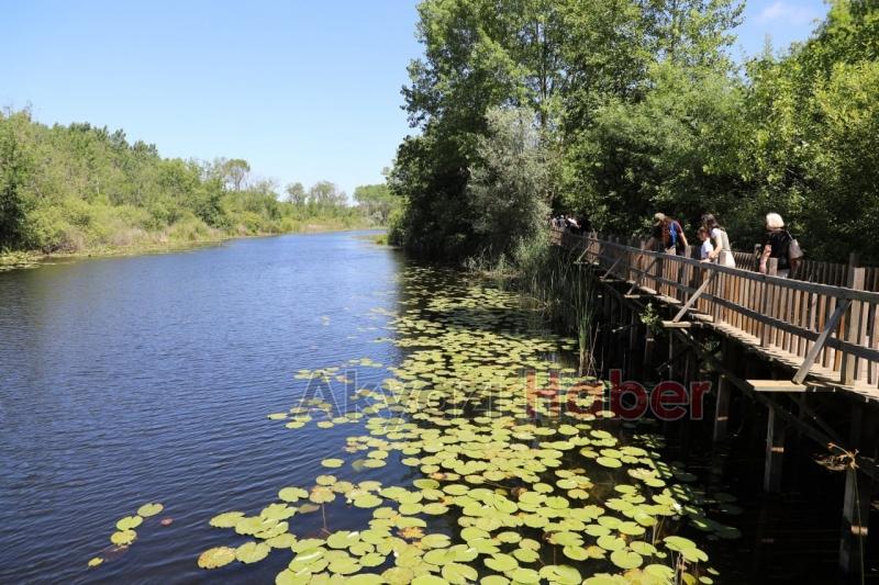 Acarlar Longozuna ziyaretçi akını