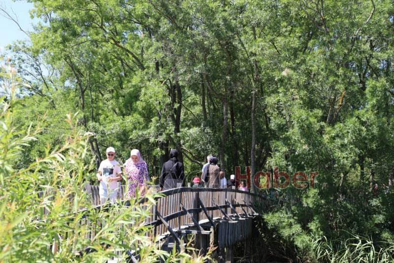 Acarlar Longozuna ziyaretçi akını