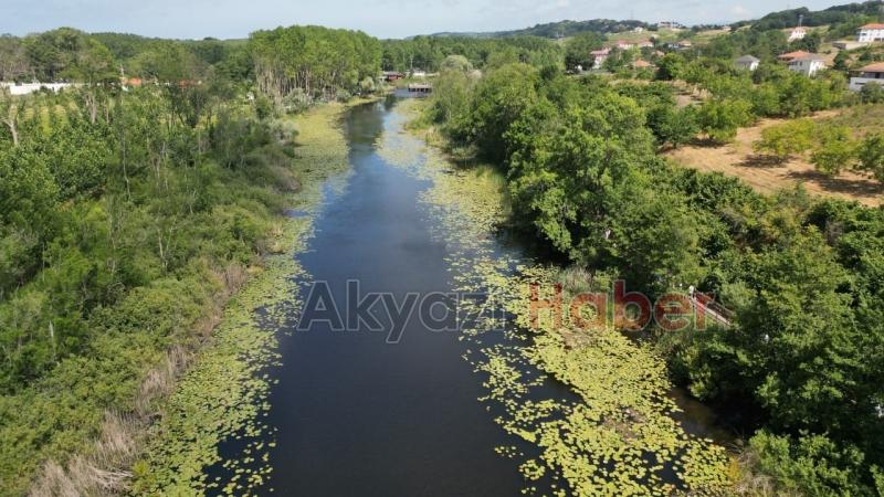 Acarlar Longozuna ziyaretçi akını