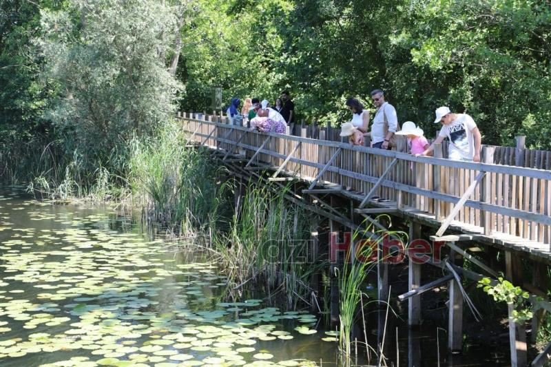 Acarlar Longozuna ziyaretçi akını