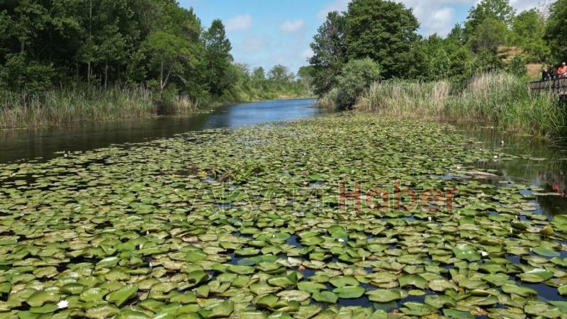 Acarlar Longozuna ziyaretçi akını