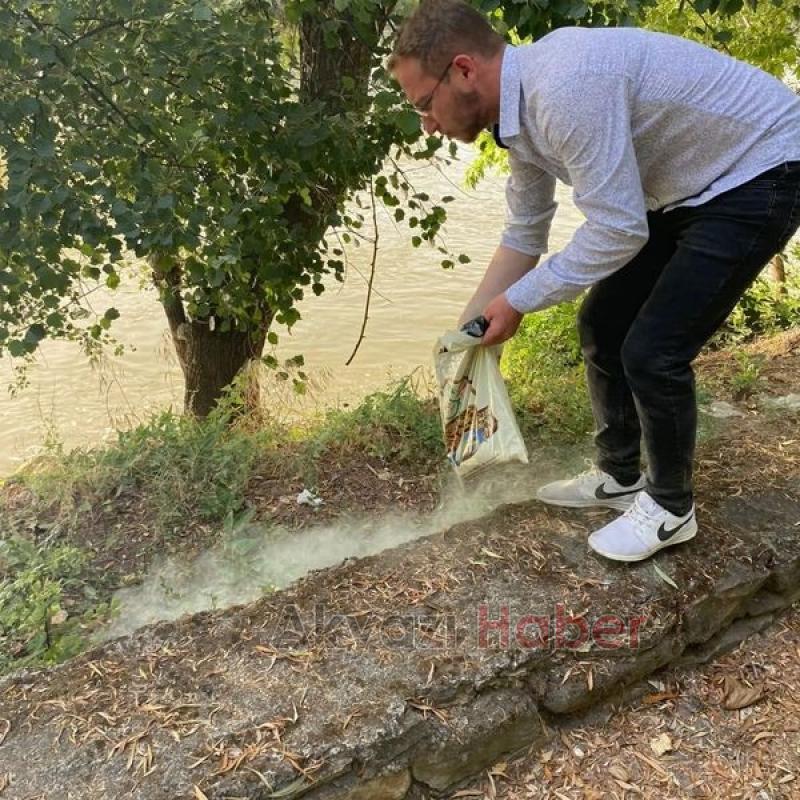 Sakarya Nehri kenarında yılanlara karşı önlem