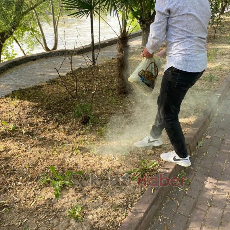 Sakarya Nehri kenarında yılanlara karşı önlem