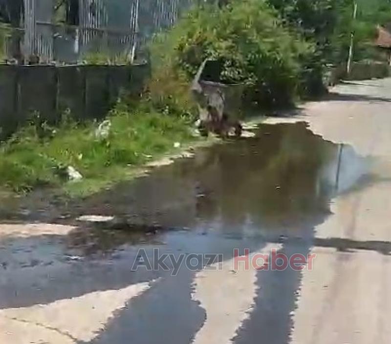 Karapürçek'te vatandaşın kanalizasyon tepkisi