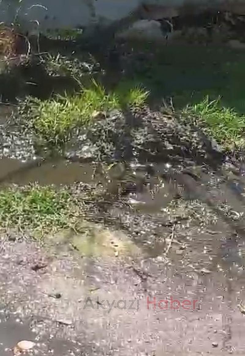 Karapürçek'te vatandaşın kanalizasyon tepkisi