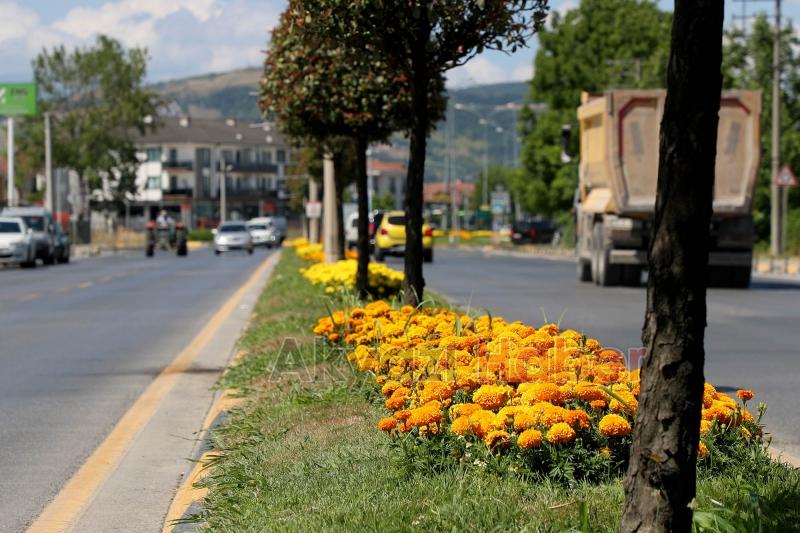 Şehrin en işlek caddeleri çiçek bahçesine dönüşüyor