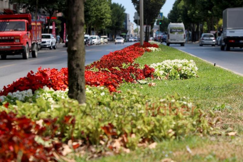 Şehrin en işlek caddeleri çiçek bahçesine dönüşüyor