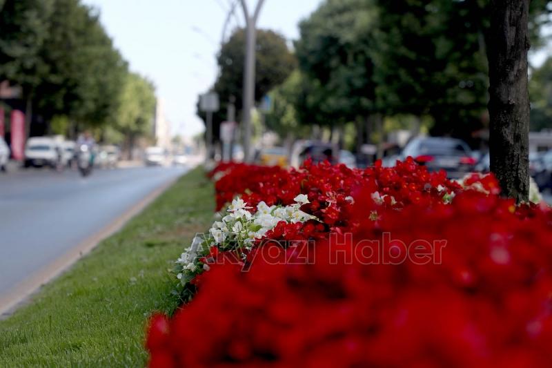 Şehrin en işlek caddeleri çiçek bahçesine dönüşüyor