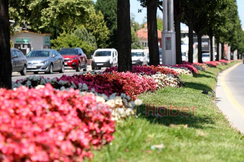 Şehrin en işlek caddeleri çiçek bahçesine dönüşüyor